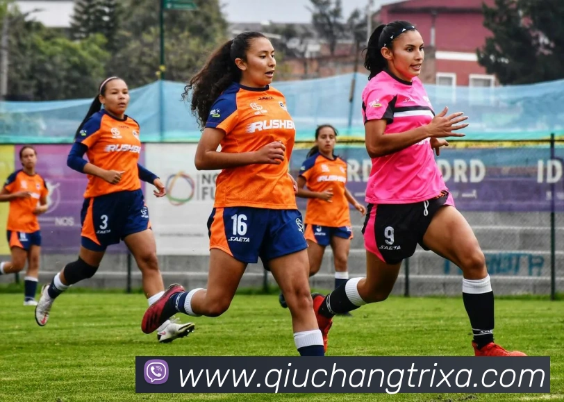 球长体育平台生态图